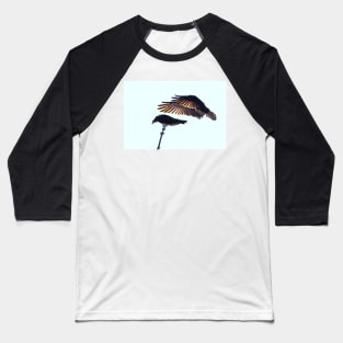 Osprey Baseball T-Shirt